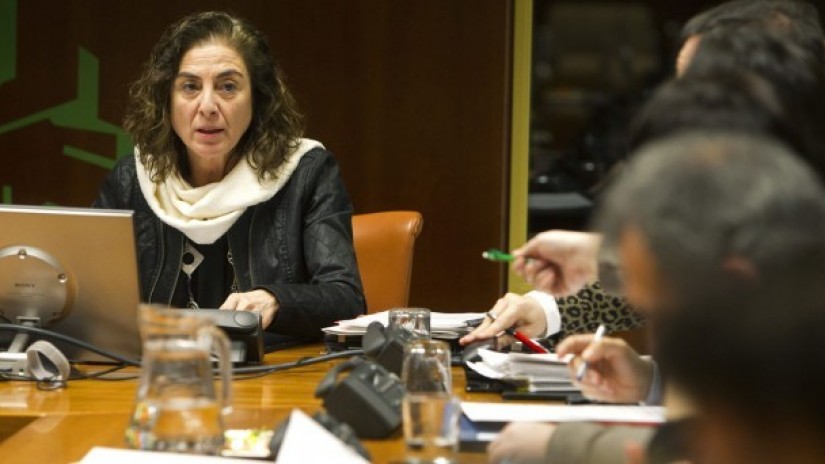 Uriarte presenta en el Parlamento la base del currículum vasco