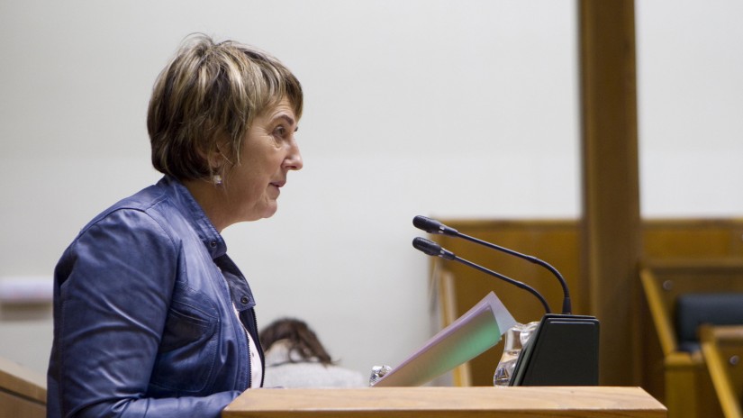EAJ-PNV respalda pedir más pasos para garantizar los derechos lingüísticos
