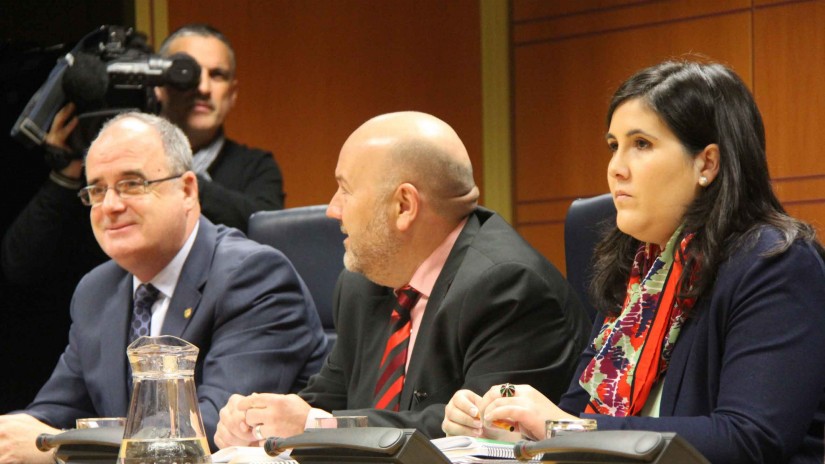 Comienza en el Parlamento la ponencia sobre el nuevo estatus