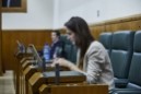 Diputación Permanente en el Parlamento Vasco
