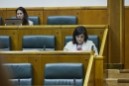 Diputación Permanente en el Parlamento Vasco