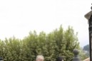 Lehendakari Iñigo Urkullu jura su cargo ante el árbol de Gernika - 2020