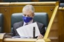 Pleno Ordinario en el Parlamento Vasco (12-11-2020)