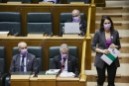 Pleno Ordinario en el Parlamento Vasco (26-11-2020) 