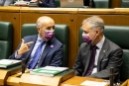 Pleno Ordinario en el Parlamento Vasco (25-11-2021)