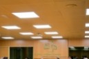 2026 09 16 Talde parlamentarioaren bilera Aitor Esteban eta Imanol Pradales Lehendakariarekin