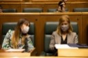 Pleno Ordinario en el Parlamento Vasco (05-05-2022)